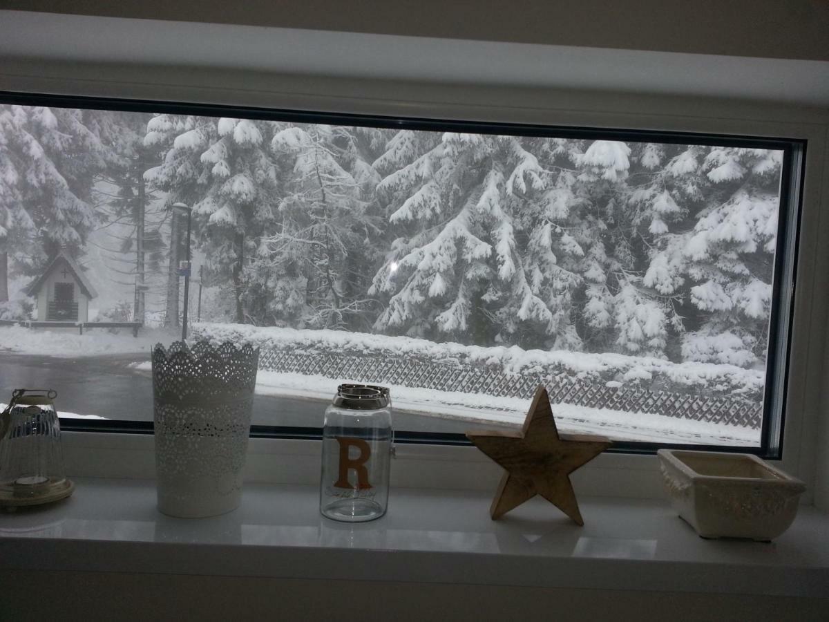 Ferienhaus Bergidylle Winterberg Dış mekan fotoğraf