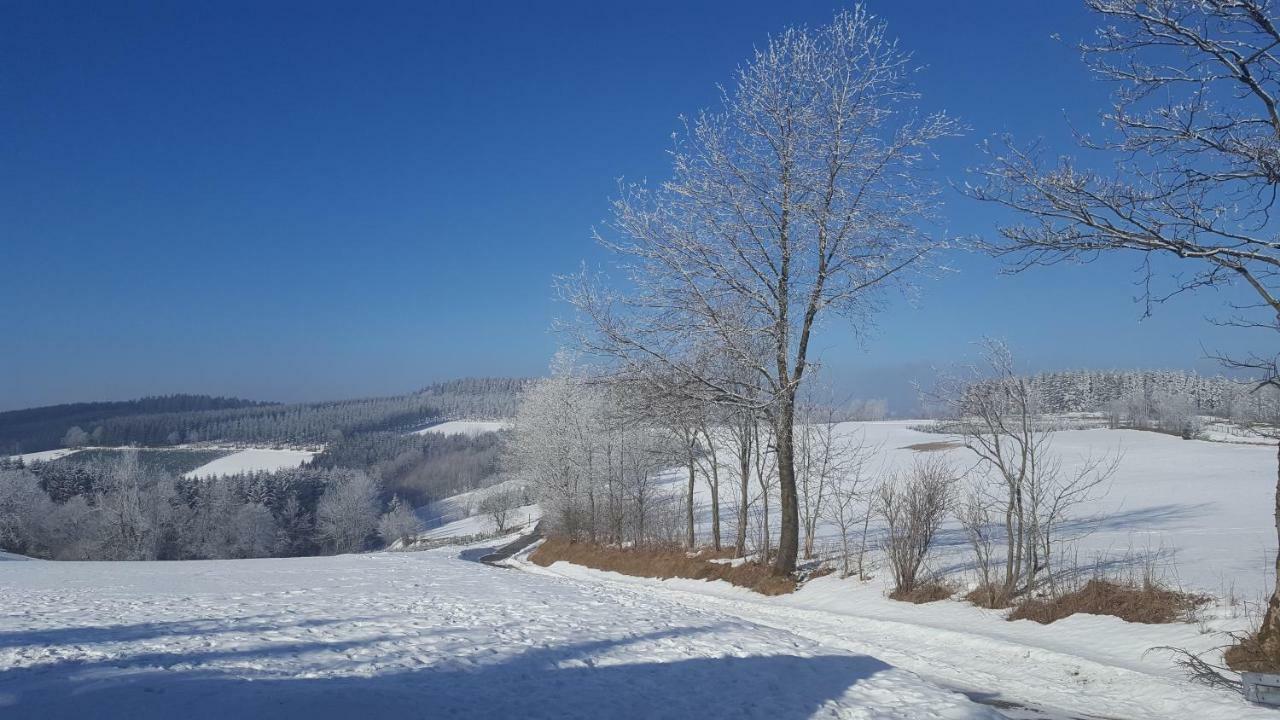 Ferienhaus Bergidylle Winterberg Dış mekan fotoğraf