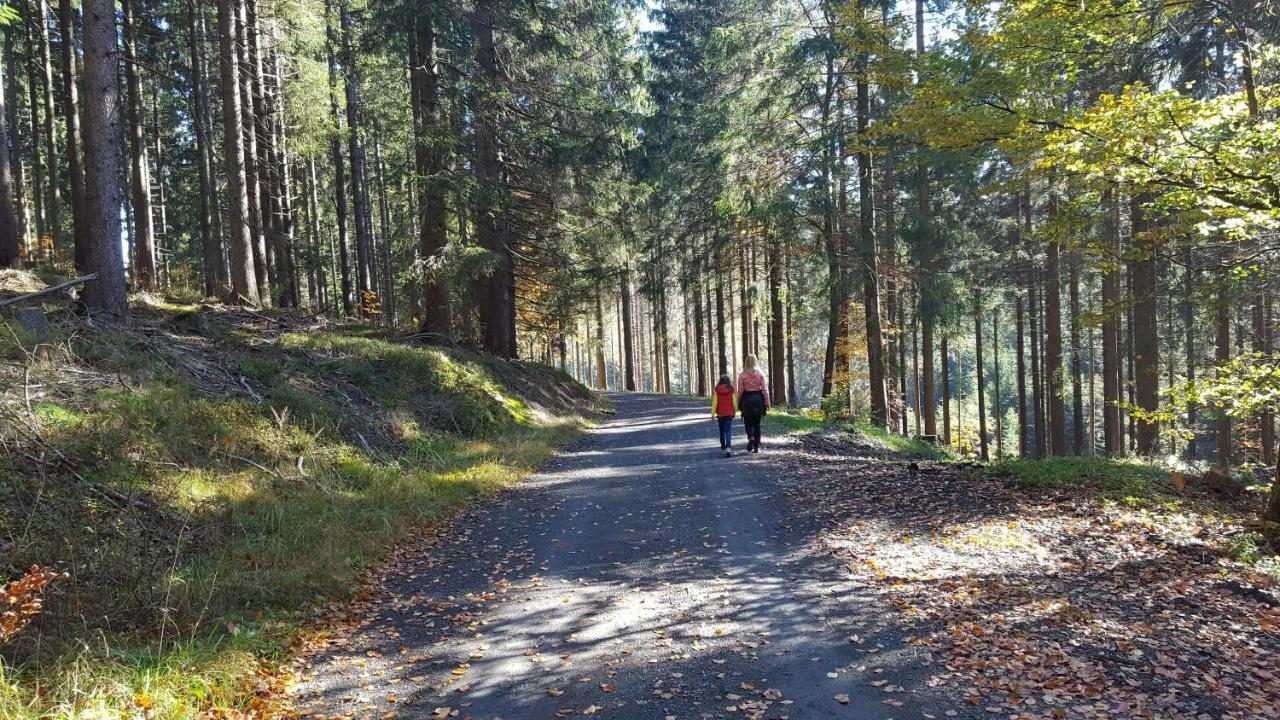 Ferienhaus Bergidylle Winterberg Dış mekan fotoğraf