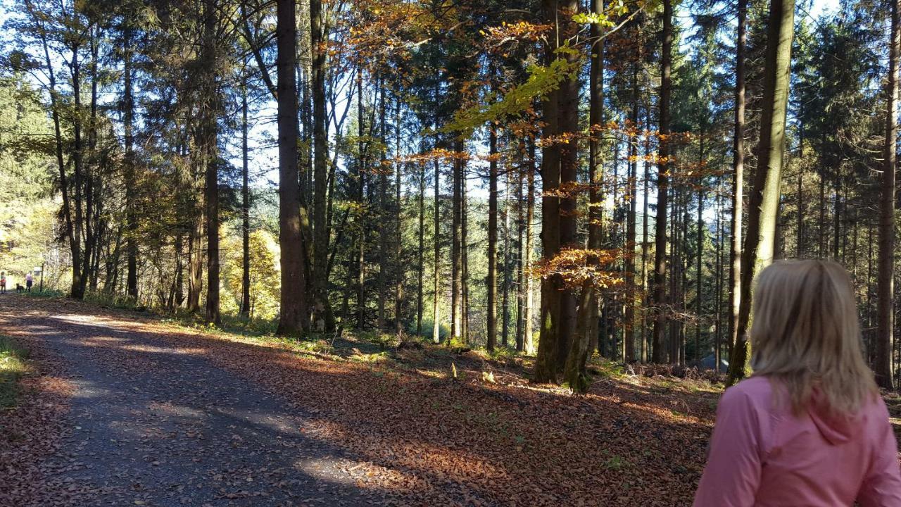 Ferienhaus Bergidylle Winterberg Dış mekan fotoğraf