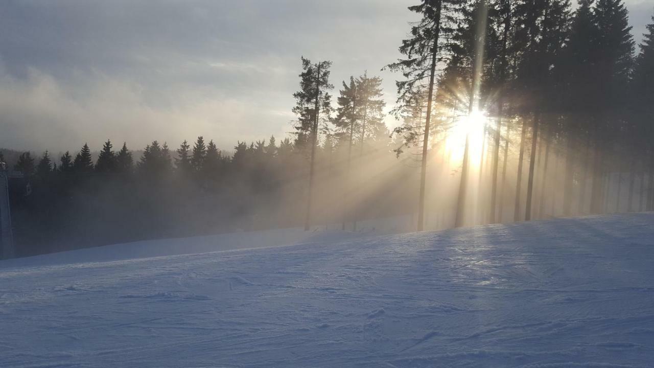 Ferienhaus Bergidylle Winterberg Dış mekan fotoğraf