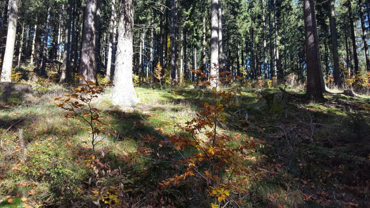 Ferienhaus Bergidylle Winterberg Dış mekan fotoğraf
