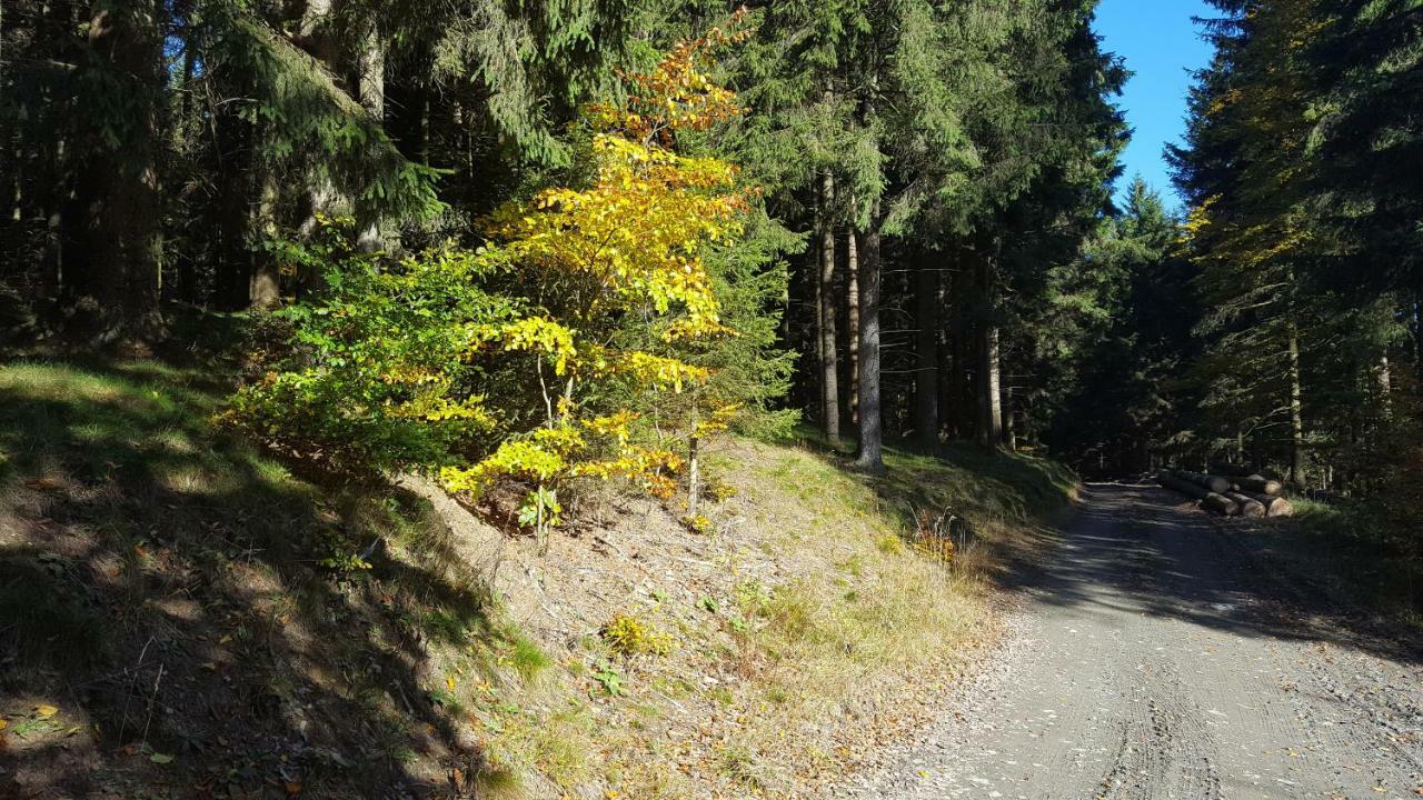 Ferienhaus Bergidylle Winterberg Dış mekan fotoğraf