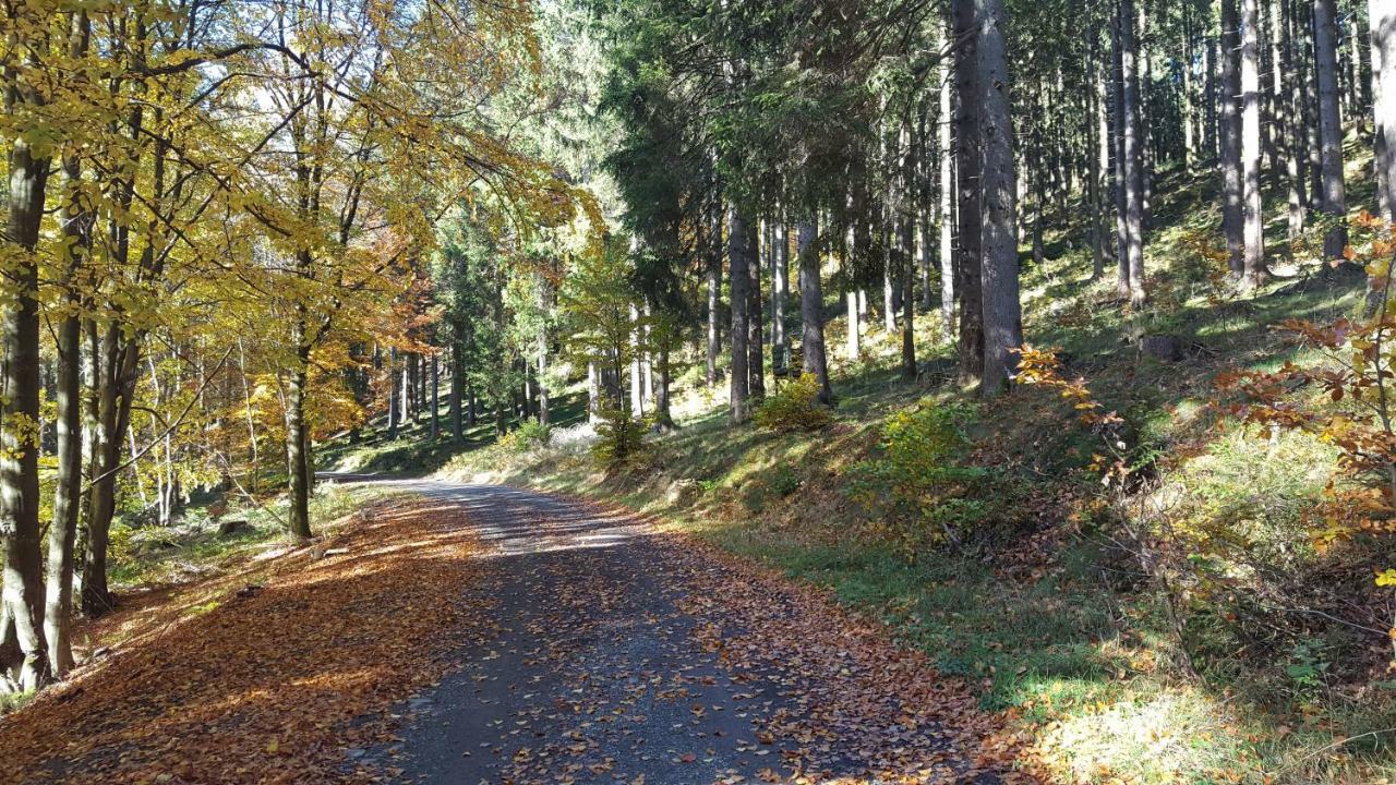 Ferienhaus Bergidylle Winterberg Dış mekan fotoğraf