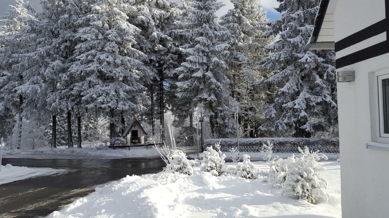 Ferienhaus Bergidylle Winterberg Dış mekan fotoğraf