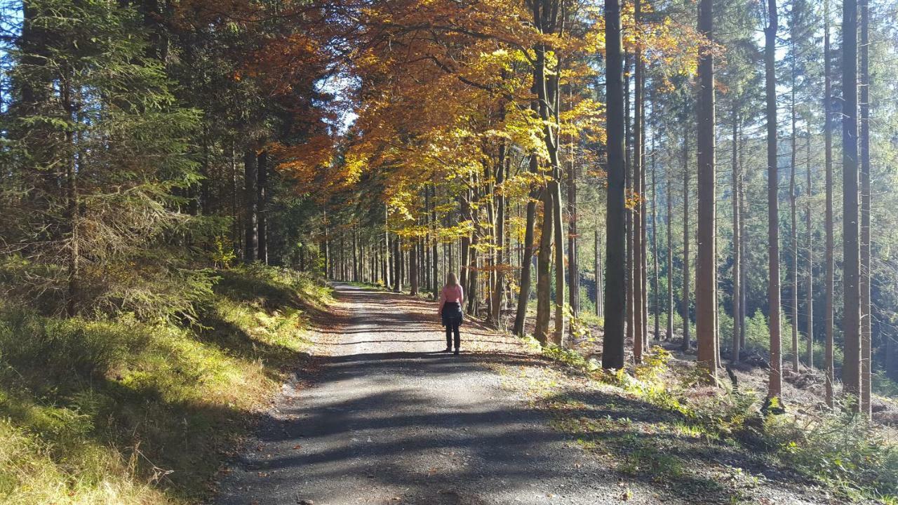 Ferienhaus Bergidylle Winterberg Dış mekan fotoğraf