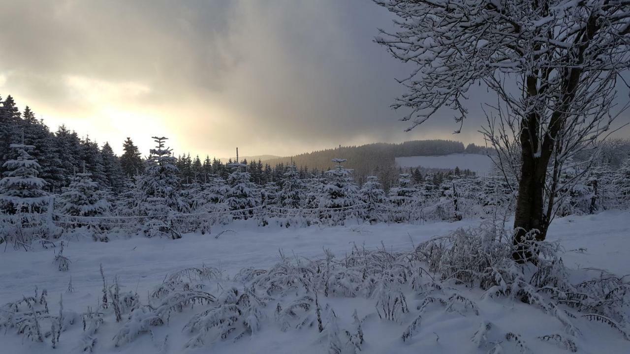 Ferienhaus Bergidylle Winterberg Dış mekan fotoğraf