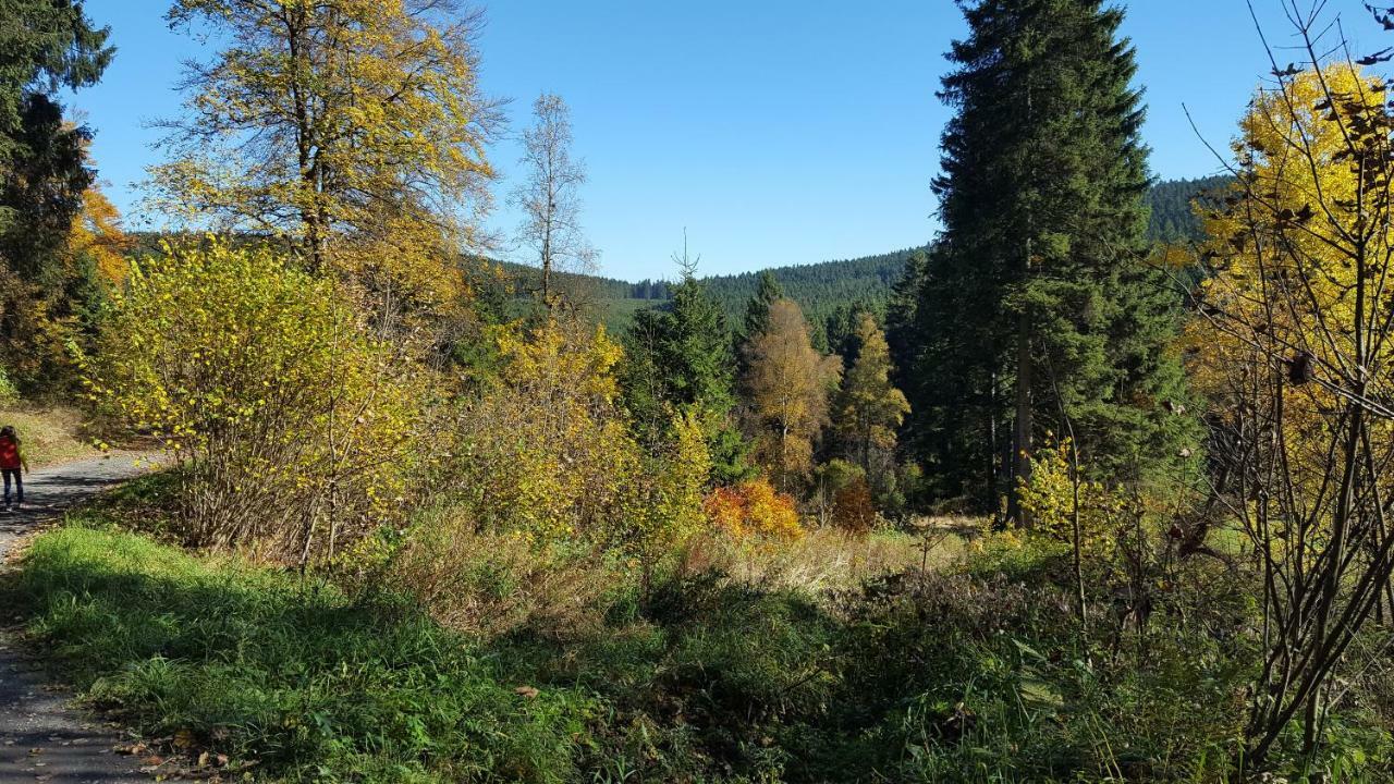 Ferienhaus Bergidylle Winterberg Dış mekan fotoğraf